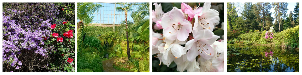 Spring gardens collage 3