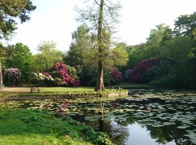 golden brook spring thumbnail