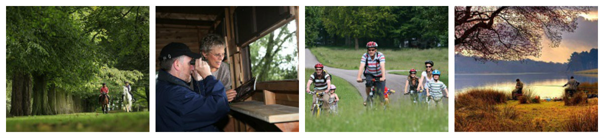 Parkland visitor activities collage