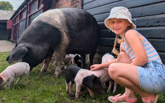 Summer Farm Adventures 555x346