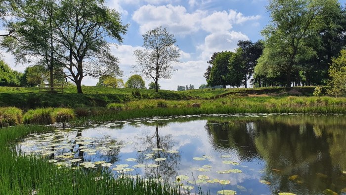 Tatton pond