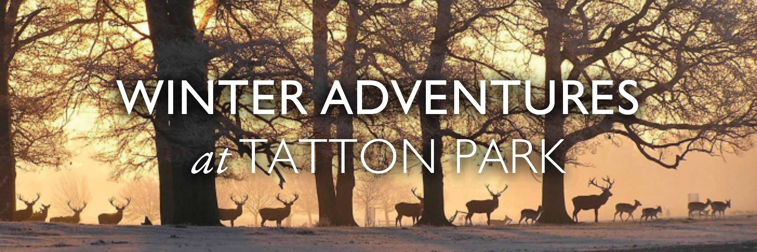 Winter Adventures Header
