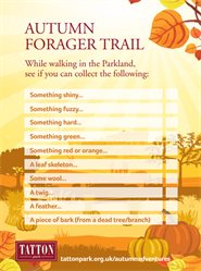 autumn forager trail image