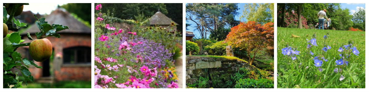 garden collage summer highlights