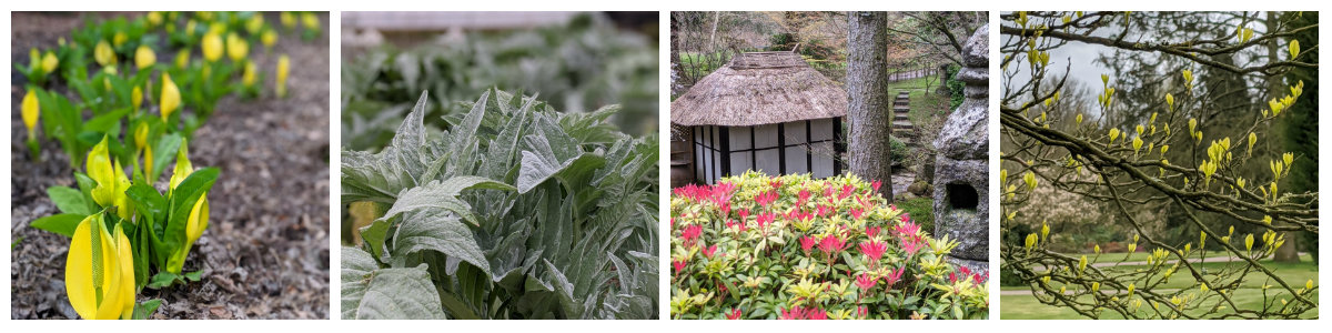 spring garden collage 2