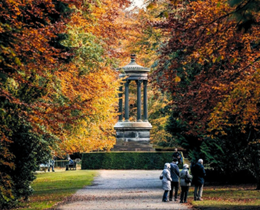 'Colour in the Leaf' Tatton Garden Society Lecture by Anthony Norman