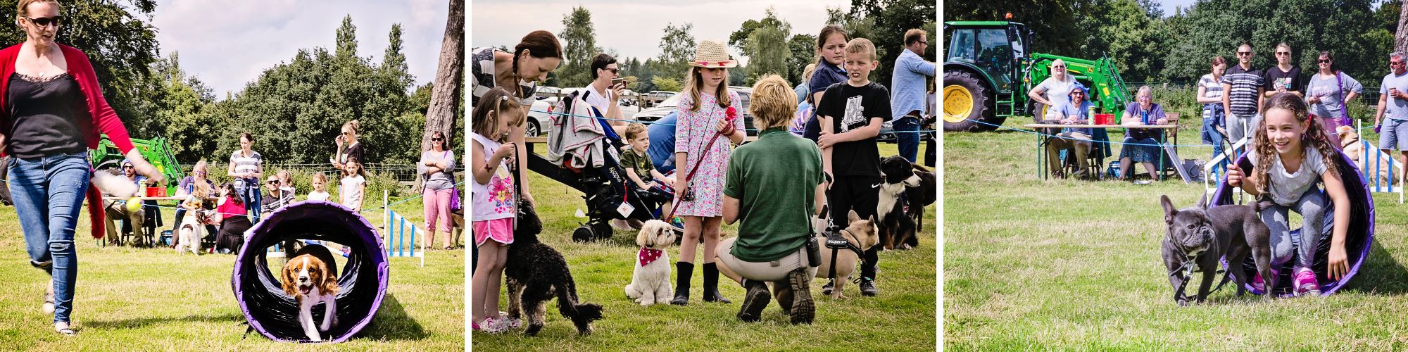 Fun Dog Show Collage