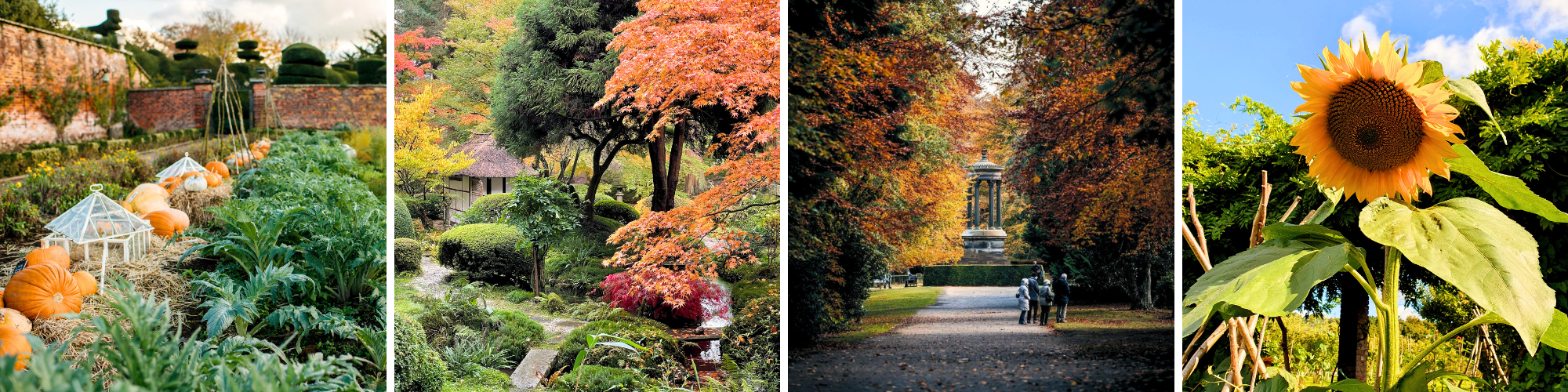 Autumnal_Gardens_Collage_2024