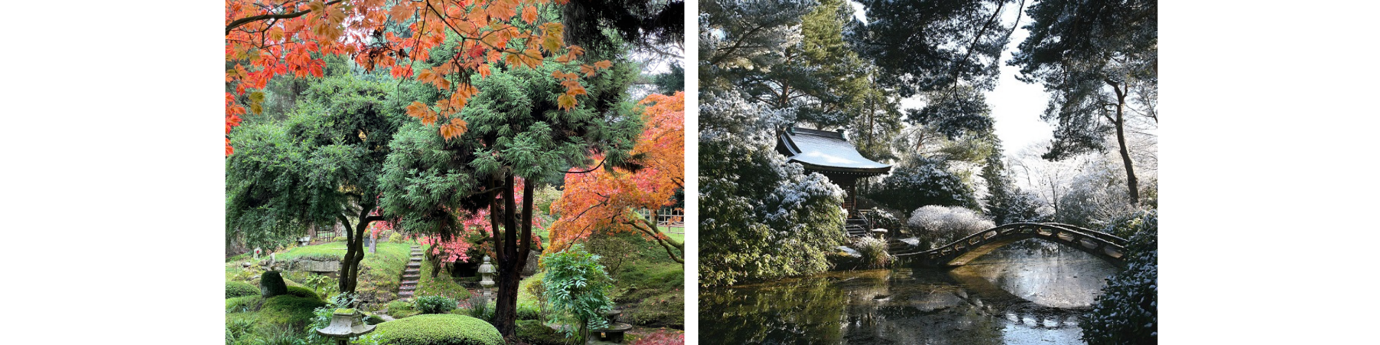 Japanese_Garden_Collage2_2024