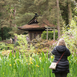 JapaneseGarden_square