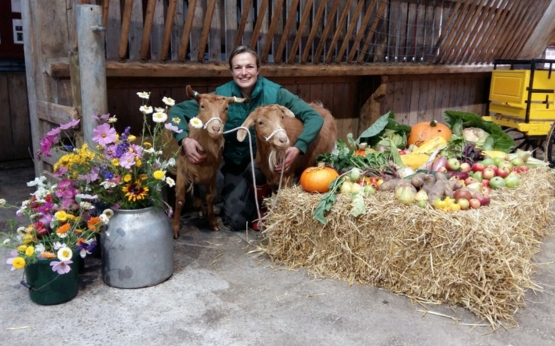 Harvest Festival Autumn