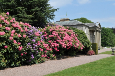 Mansion Spring Totally Tatton