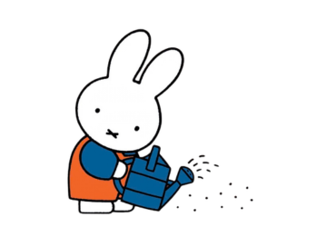 Miffy Watering