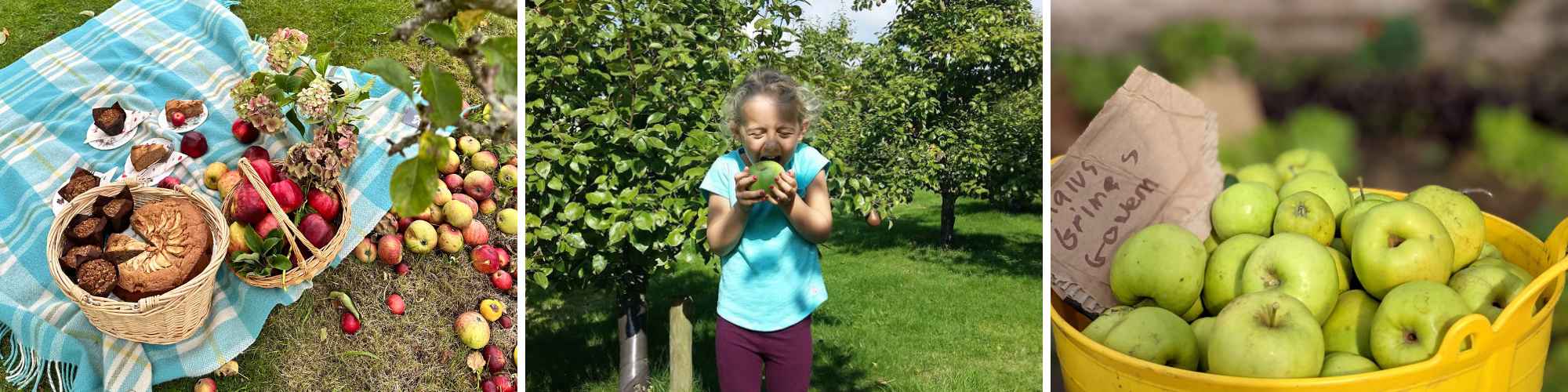 Apple Day collage