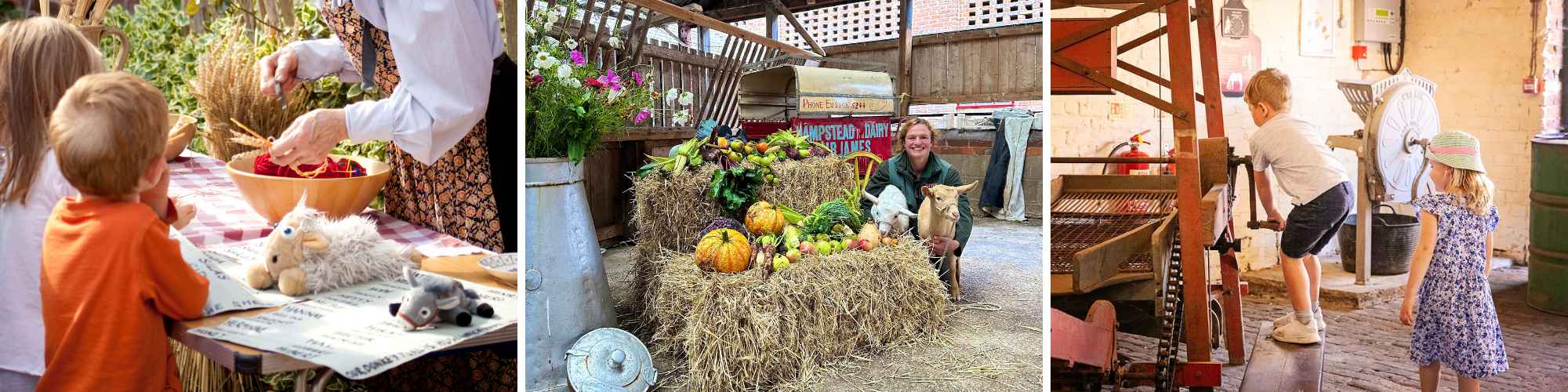 Harvest Festival Collage (2)